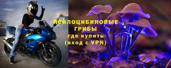 apvp Ладушкин