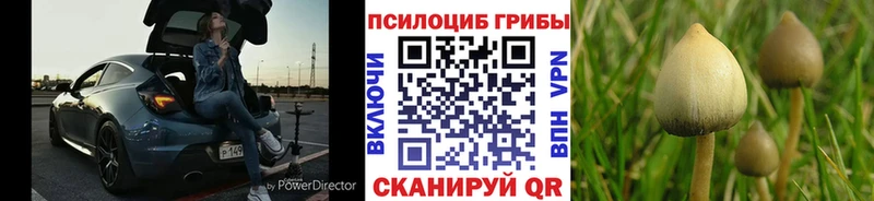 Галлюциногенные грибы Psilocybine cubensis  купить наркоту  Трёхгорный 